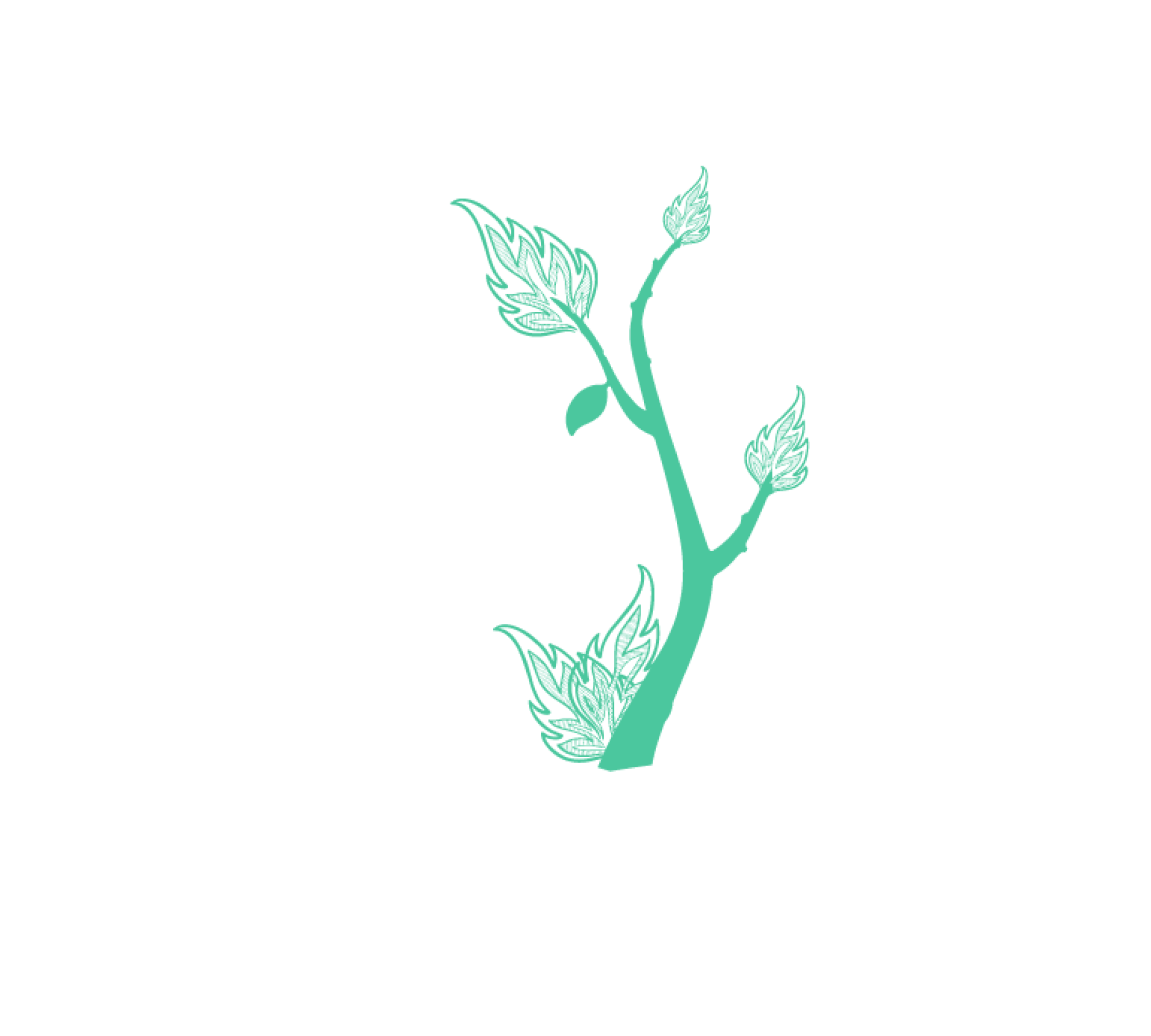 Icon de uma planta com folhas parecidas a chama