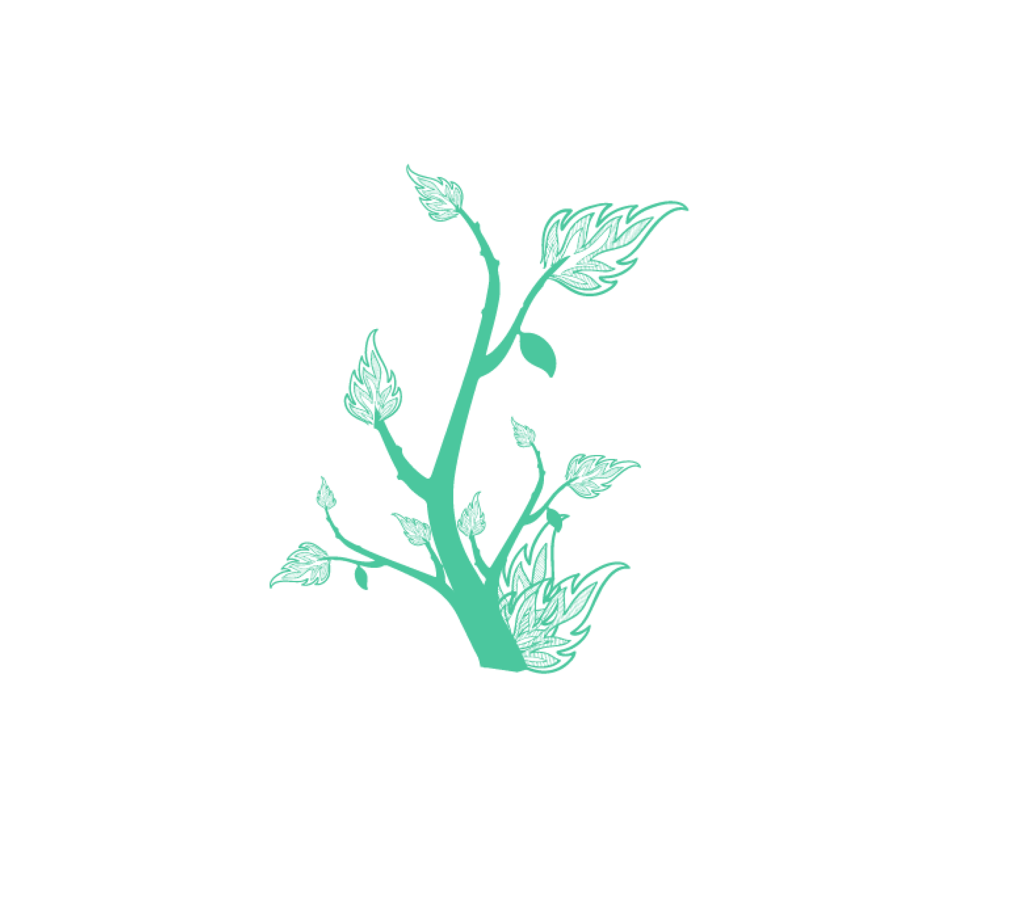 Icon de uma planta com folhas parecidas a chama
